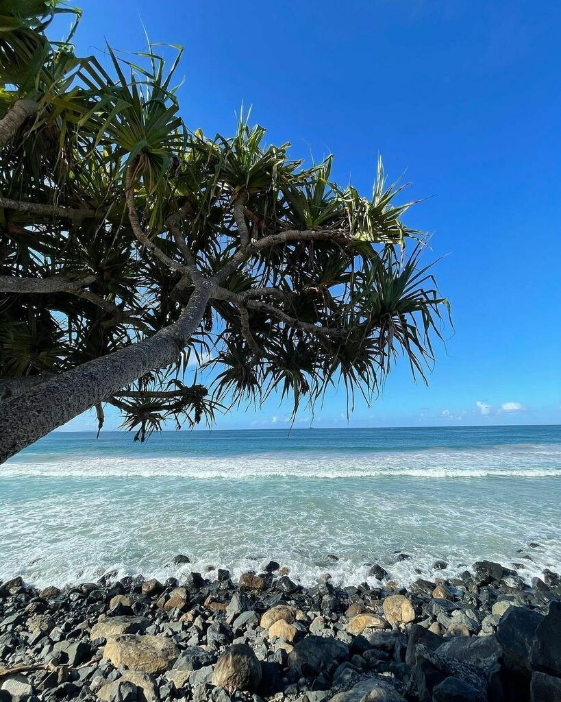 byronbay's tweet photo. Paradise found Byron Bay... ๐ท @jatanainteriors Happy afternoon!
#byronbay #afterworkdelight https://t.co/6bPtanLiYh https://t.co/eC0jl6Zvyi