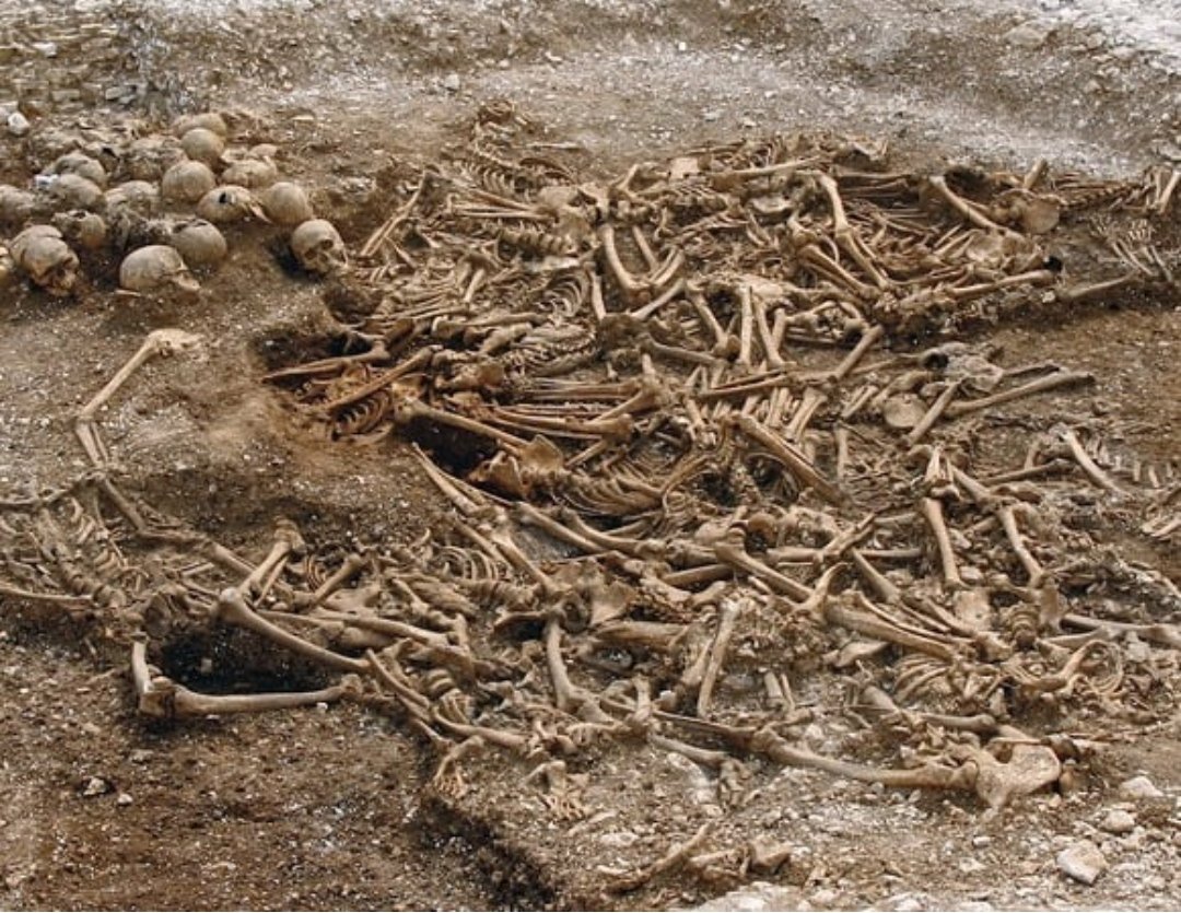 DNA çalışmalarında kullanılan Viking iskeletleri...