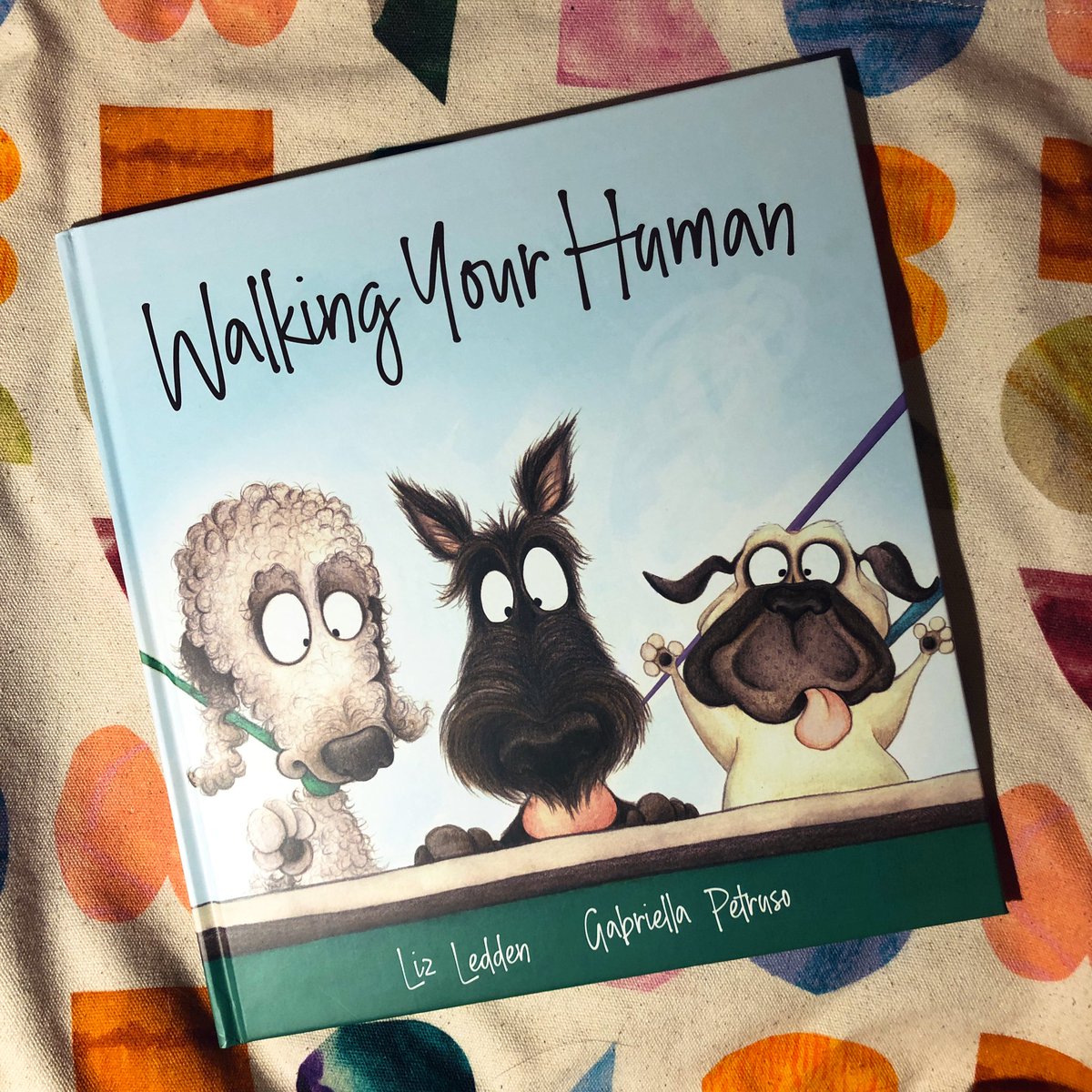 A1. This just arrived hot-off-the-press and I love the switch in perspective! #picbookbc