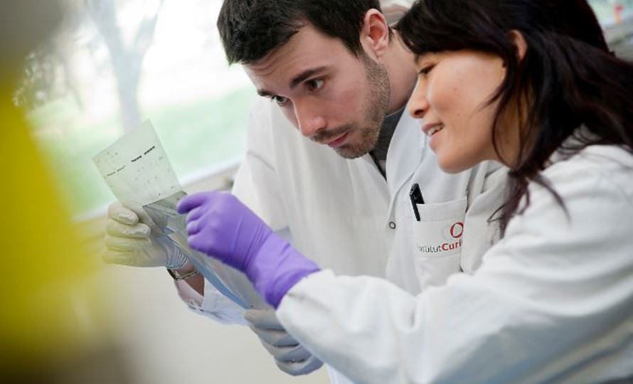 institut_curie's tweet image. #WorldCancerDay | Aujourd'hui, c'est la Journée Mondiale #ContreLeCancer !  🌏

Médecins et chercheurs 👩‍🔬👨‍⚕️ font le point sur leurs travaux et sur les innovations autour des cancers résistants. Notre seul objectif : prendre le #cancer de vitesse. 

➡️ ow.ly/tX0X50Do3Xd