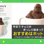 おすすめの食べ方はホットゴリラ!？毎年売り切れ続出のゴリラチョコレートとは!