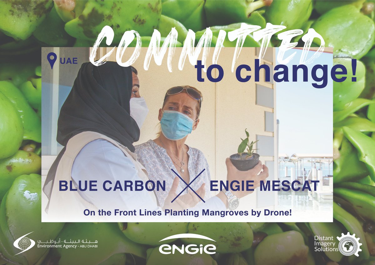 Happy #UAENationalEnvironmentDay !

As the long time positive energy partner to the UAE, <a href="/ENGIE/">Engie</a> is dedicated to the preserve the country's natural biodiversity which can be seen through our many initiatives like the #BlueCarbon project

#ActWithENGIE <a href="/EADTweets/">The Environment Agency - Abu Dhabi</a>  @Distant_Imagery