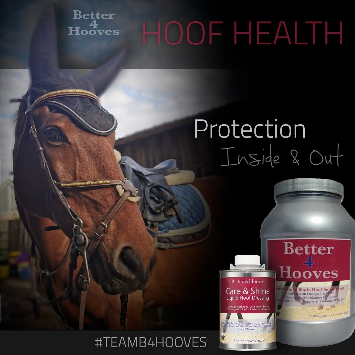 Better4Hooves tweet media