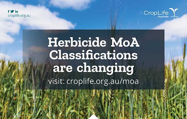 Herbicide Mode of Action (MoA) classifications will be changing to ensure more efficient farming systems into the future. You can find out more at croplife.org.au/MoA