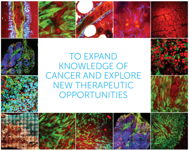 Our goals remain the same: to expand knowledge of cancer and explore new therapeutic opportunities. We are active in basic (non-clinical), translational and clinical  #cancer  #research.