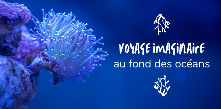 En 2021, on change le format de nos articles pour toujours vous faire voyager malgré la crise sanitaire.

Pour ce 1er numéro, direction les fonds marins 🐳

👉 parissurunfil.com/voyage-imagina…