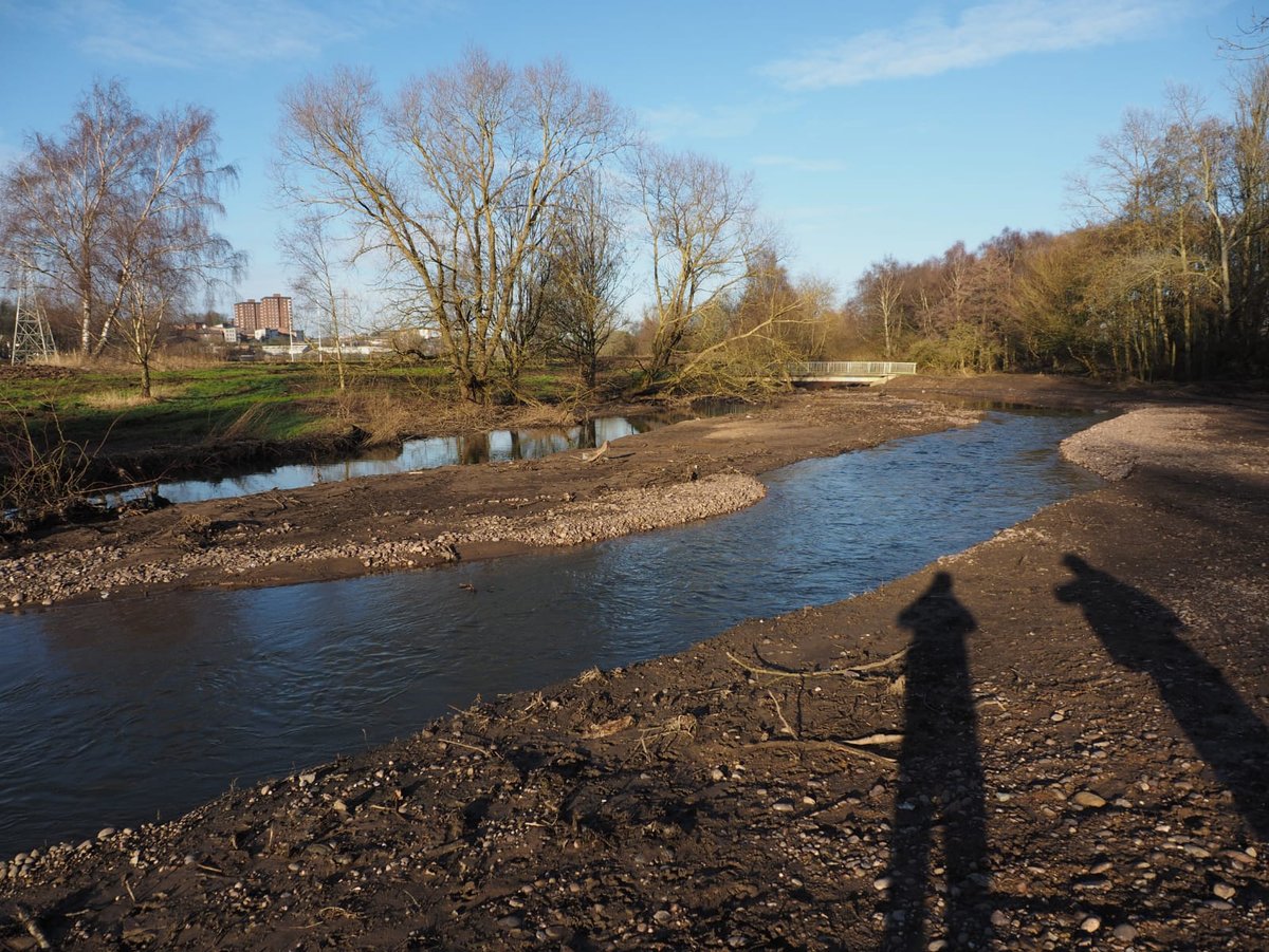 WildStoke's tweet photo. After the last couple of weeks of heavy rain, the new river channel at @StaffsUni is looking good. The high water levels have receeded and it has weathered very well. Pics by #StaffsSUNRISE project manager @TalesofaWildGuy 
@EnvAgencyMids @WildTroutTrust @TrentCaba @jogideon https://t.co/DF7TC1vGCj