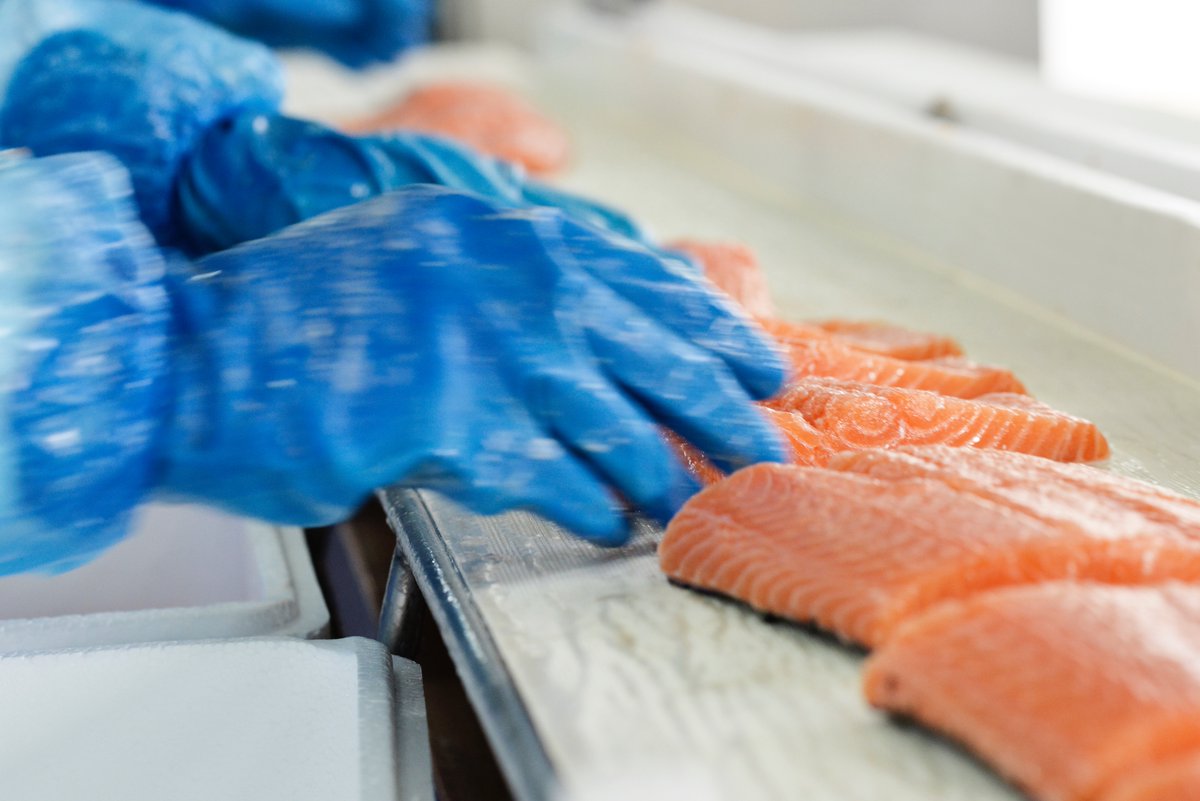 Agromousquetair's tweet image. Comment expliquer la popularité des produits marée libre-service ?
Capitaine Houat nous cite les atouts qui plaisent aux #consommateurs :
👉 Le prix d'achat est connu à l’avance
👉 Ils sont faciles à #conserver
👉 Les découpes de #poisson sont sans arête !