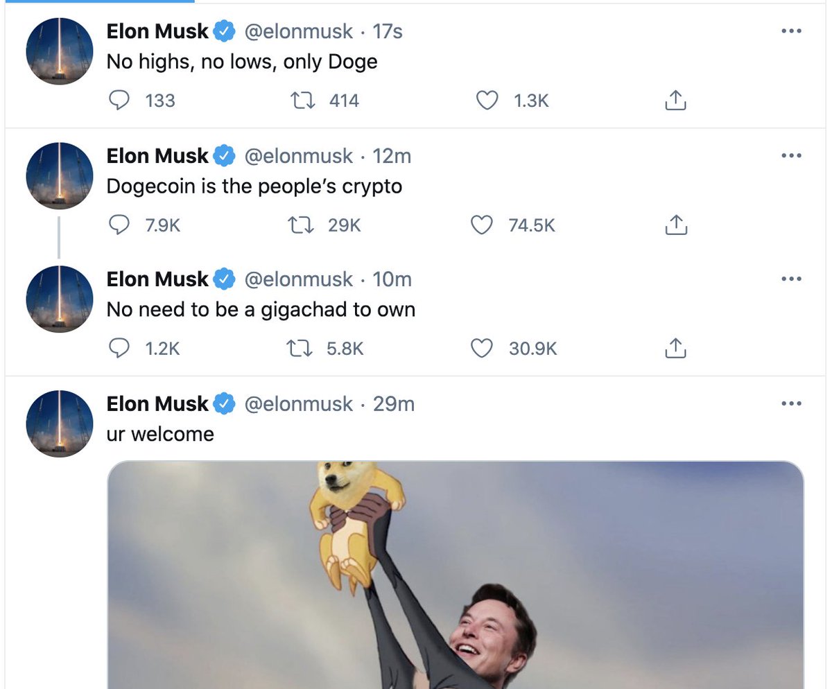 Dan Held 🧙‍♂️ on Twitter: "Elon has gone full doge 😂 https://t.co/urQ6Q0R2tz" / Twitter