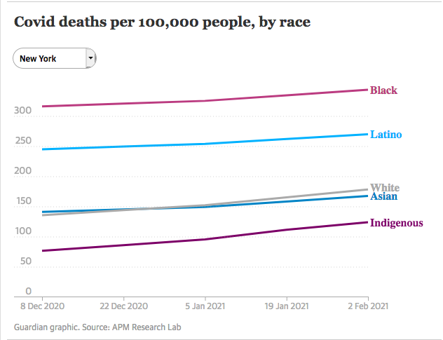 Covid deaths in the state of New York per 100,000 people, by race
