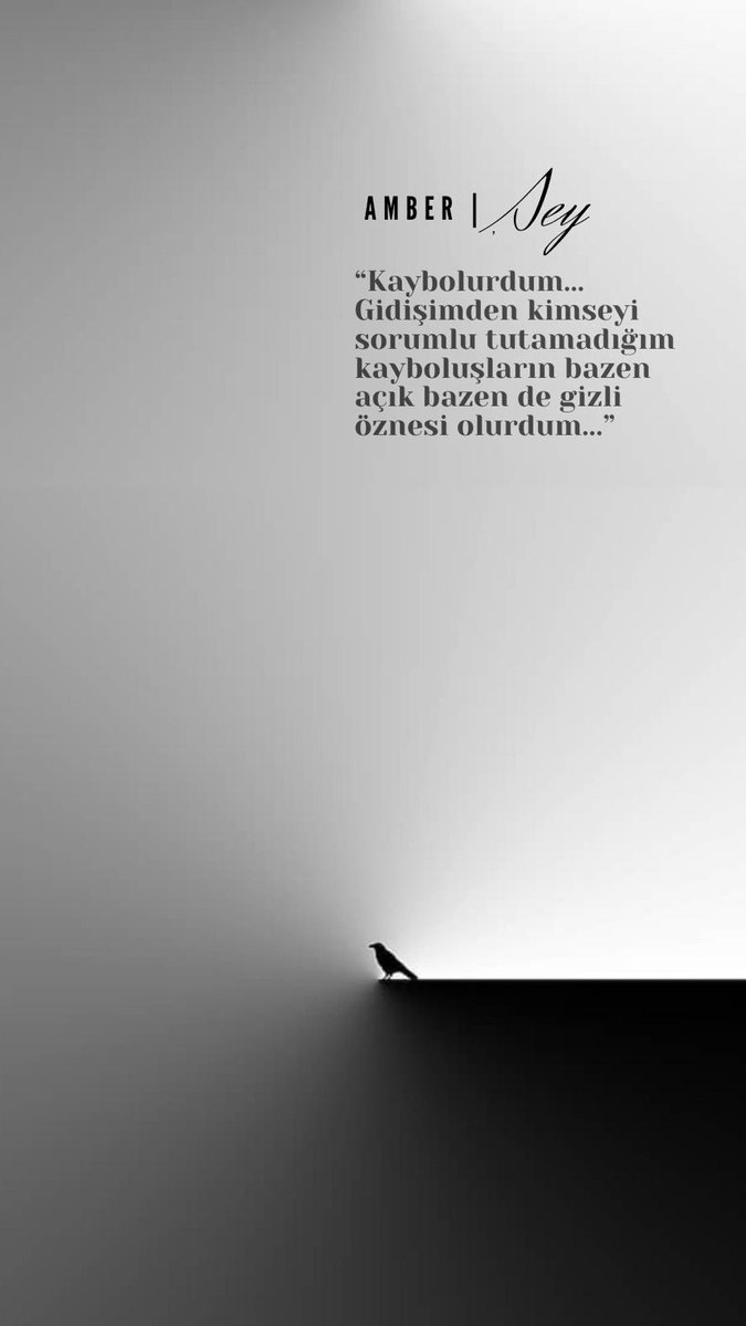 “Kaybolurdum... Gidişimden kimseyi sorumlu tutamadığım kayboluşların bazen açık bazen de gizli öznesi olurdum...”
Amber / ŞEY (alıntı)
📚
#şey #alıntı #kitapalıntı #mehtapsafak #roman #kitapönerisi #kitap #novel