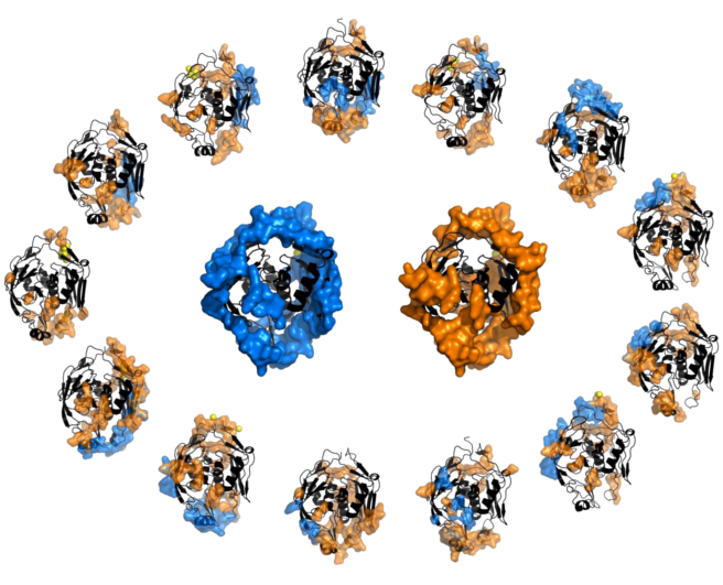 acarbone16's tweet photo. Our analysis of "soft disorder" makes the cover of the PLoS Computational Biology January issue: https://t.co/ZZUV52xpF3
#ProteinDisorder https://t.co/gLYWfmLcMI