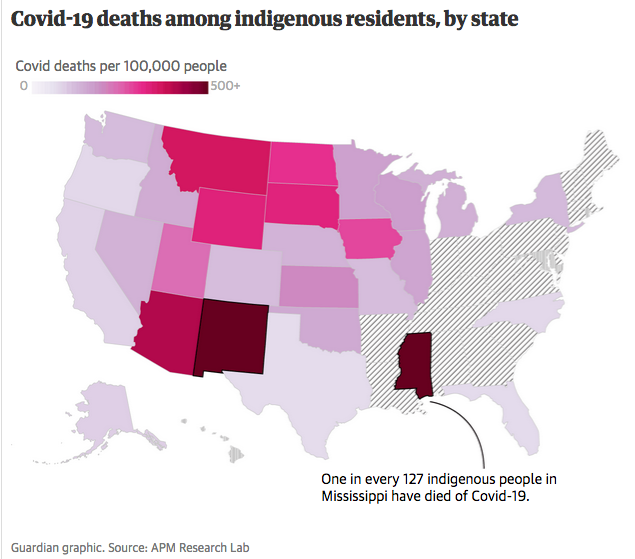 "Covid-19 deaths among indigenous residents, by state"