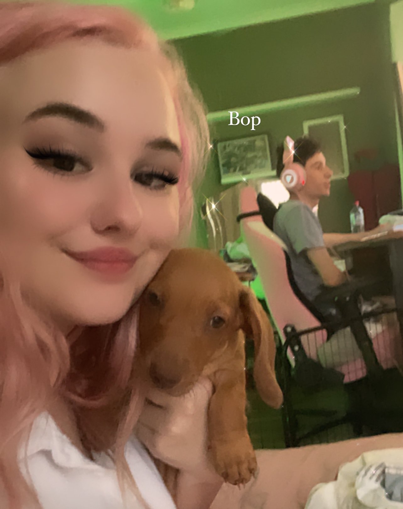 Gracie Waifu on Twitter: "@Lowkii_D is streaming while me and puppy