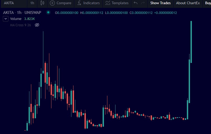 0xrelic22's tweet photo. #$AKITA #ETHDOGE #UNISWAP NO CHADS ALLOWED! @IvanOnTech  @elonmusk 

dont miss the train https://t.co/c2bVYRMYbh