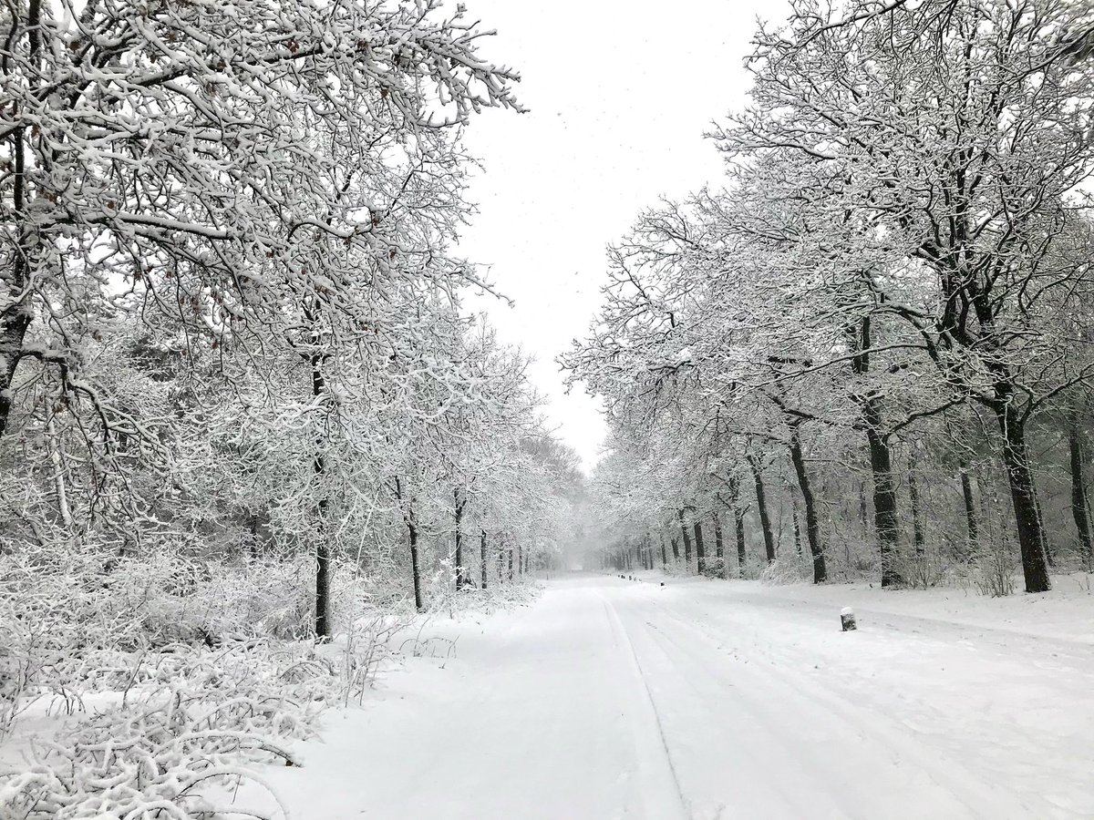 Laat de sneeuw maar komen , ken ik weer voor winterplaatjes zorgen . #sneeuw #WinterWonderland #brabant #NaturePhotography #beautiful #weeronline #Voorspelling #besttweets