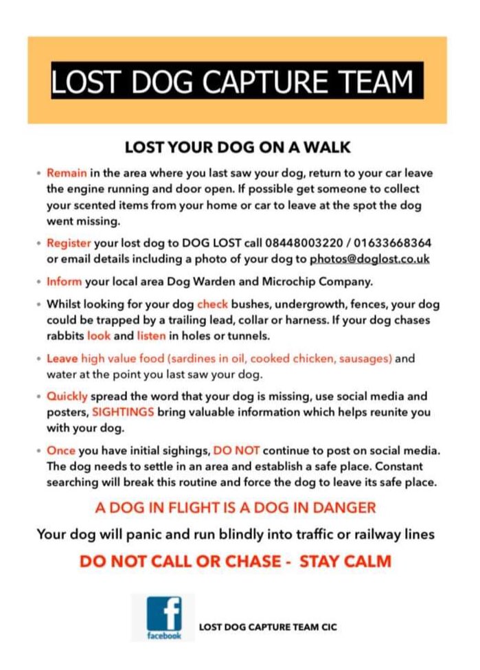 DogCapture's tweet image. #lostdogcaptureteam