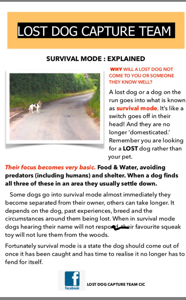 DogCapture's tweet image. Helpful advice