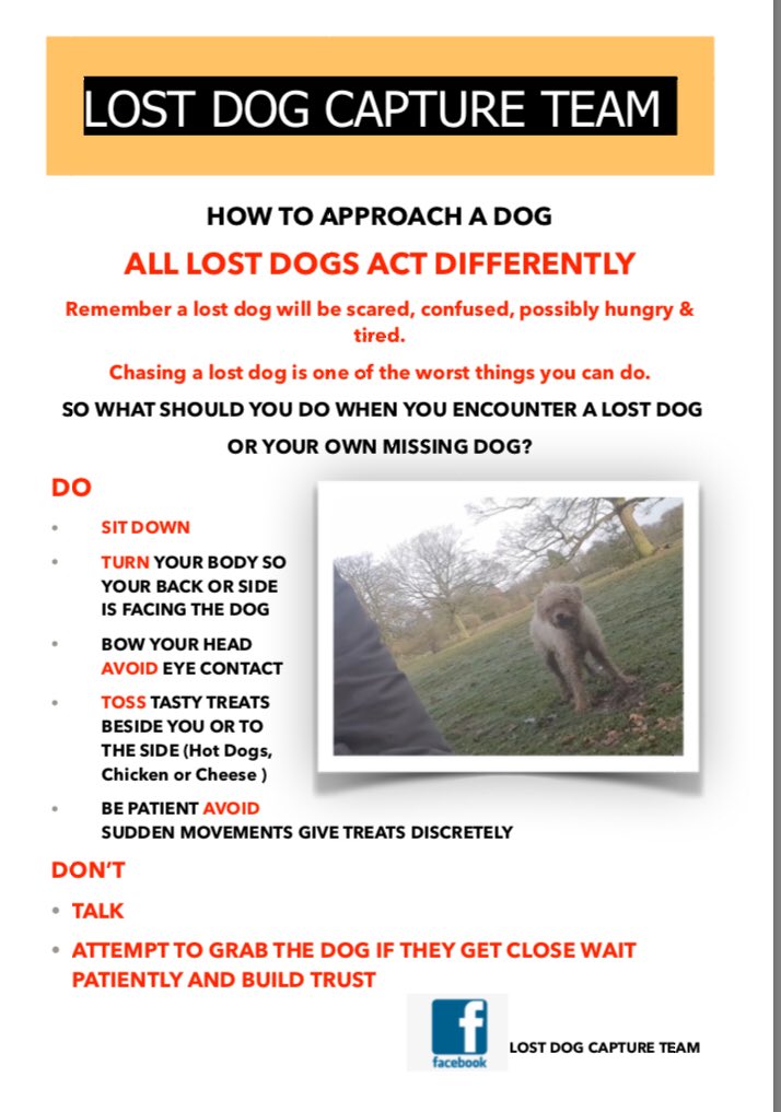 DogCapture's tweet image. Helpful advice