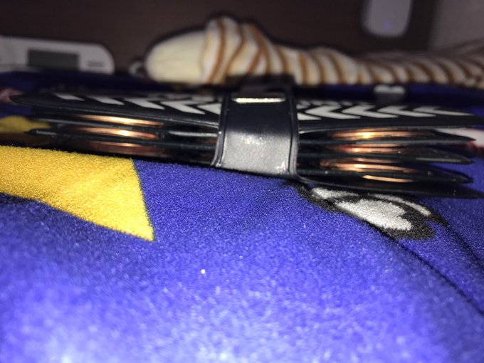 メダリオンのtwitterイラスト検索結果