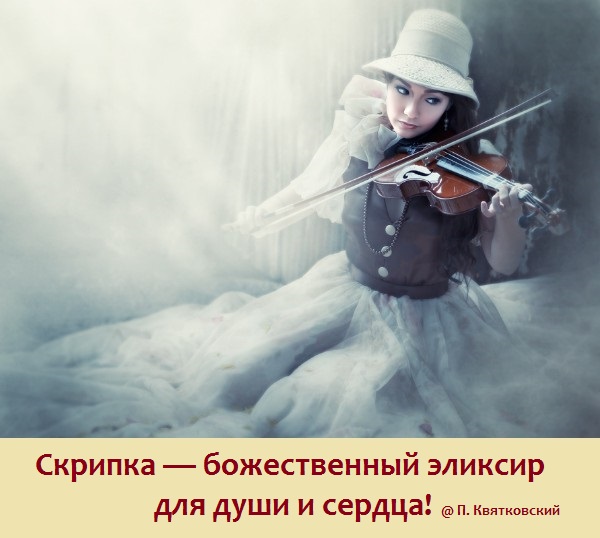 Violins playing and the angels crying. Скрипка. Скрипачка. Скрипач. Женщина со скрипкой.