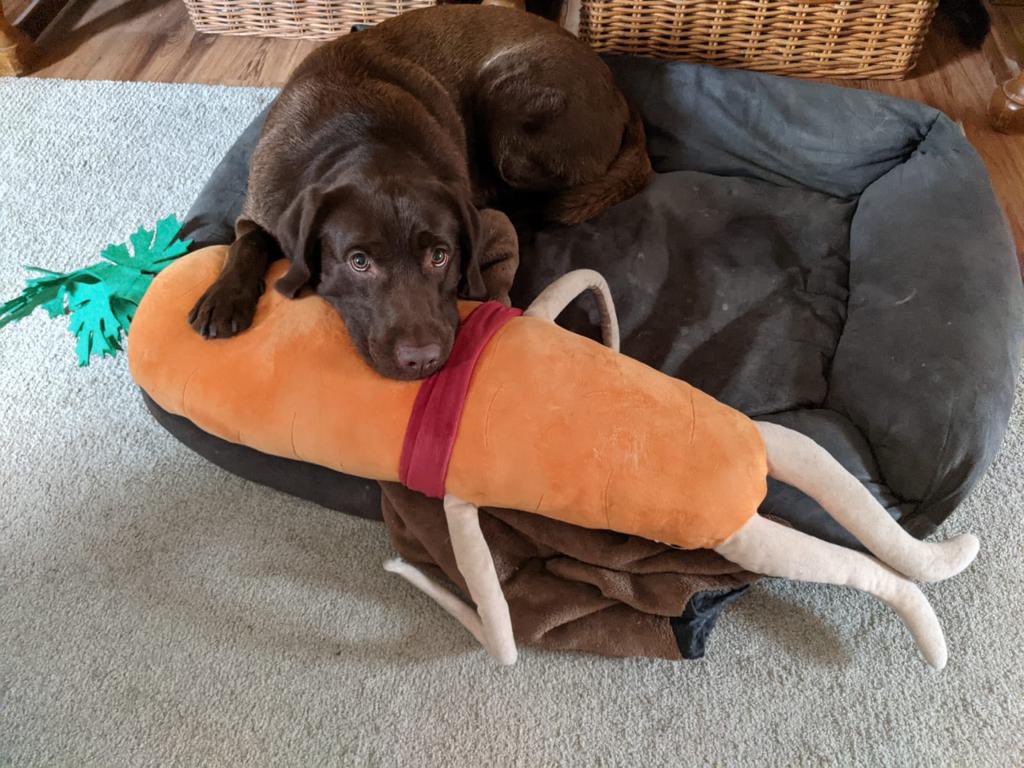 BuddyAndKevin tweet media