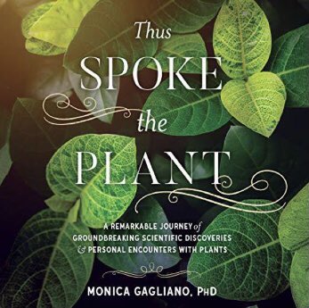 bryce_linn's tweet photo. This book is just so good. Thank you @Monica_Gagliano for this beautifully written window into your research and life.

A perfect balance of scientific wonder and poetic description, I listened to this while working with my arboreal companions. Made me feel closer🏔❤️ https://t.co/CwTfltSPTF