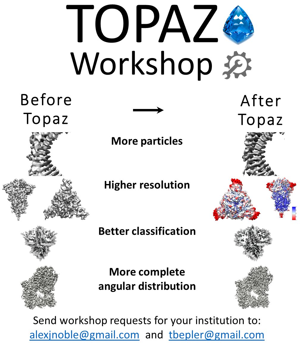 We are offering a 2-hour hands-on remote Topaz workshop for your institution to show best particle picking practices. Topaz picks more particles resulting in higher resolution, better classification, and more complete Euler angle distributions. Email us to schedule a workshop!