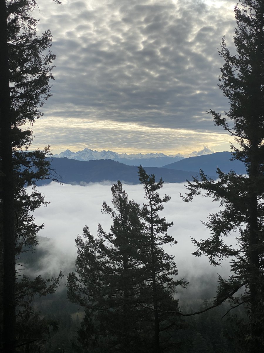 Brian McNitt tweet media