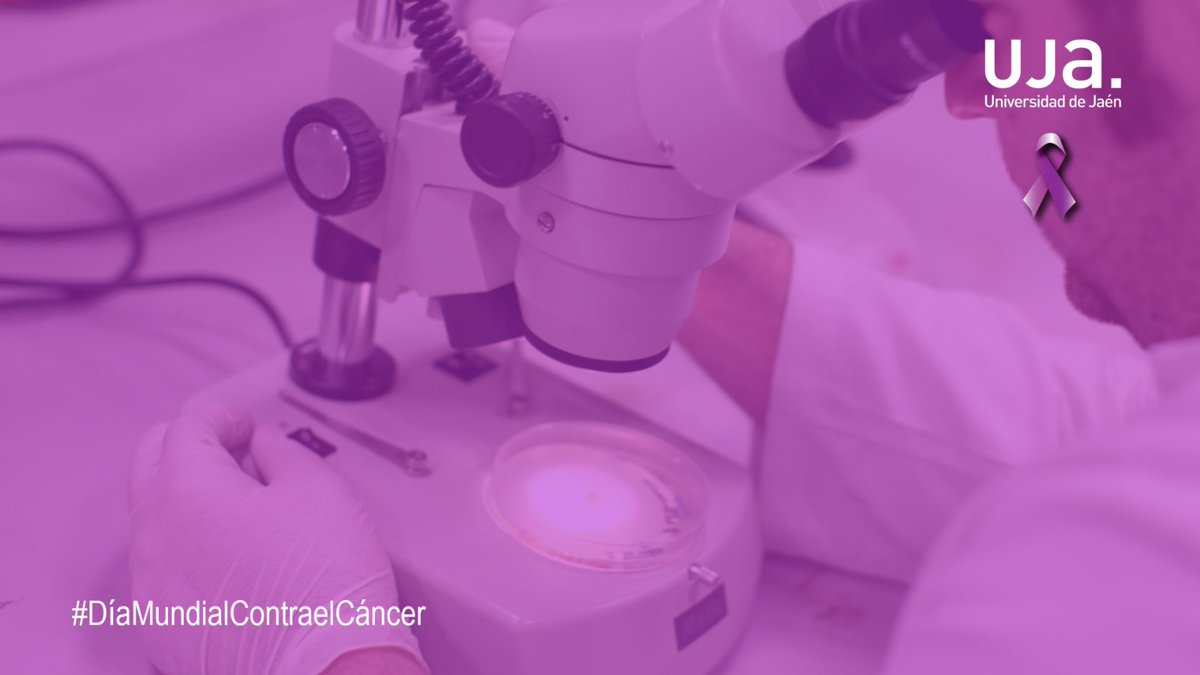 Universidad de Jaén (@ujaen) on Twitter photo ▶La <a href="/ujaen/">Universidad de Jaén</a> cuenta con un total de 9 grupos de investigación🧪que desarrollan su trabajo🔬 sobre materias relacionadas con el #cáncer, en diferentes áreas y temáticas, a los que se añaden otros 11 grupos🩺que lo hacen de manera transversal #UJAInvestiga #DíaMundialContraelCáncer ▶La <a href="/ujaen/">Universidad de Jaén</a> cuenta con un total de 9 grupos de investigación🧪que desarrollan su trabajo🔬 sobre materias relacionadas con el #cáncer, en diferentes áreas y temáticas, a los que se añaden otros 11 grupos🩺que lo hacen de manera transversal #UJAInvestiga #DíaMundialContraelCáncer
