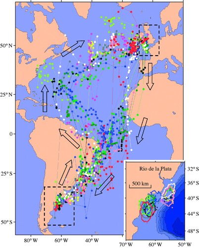 Manx shearwaterin 1994 94% of world population breeding in British Isles https://www.tandfonline.com/doi/pdf/10.1080/00063659409477217?needAccess=true