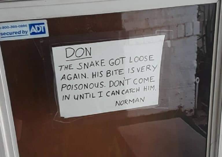 LOCKFIX's tweet photo. No need of a lock here, seeing as they have a Guard Snake 🐍🤣👍#locksmith #inexeter #Exeter #Devon #exeterlife #lockedout #replacementlocks https://t.co/2Grcc57c8l https://t.co/EsELjC9vJy