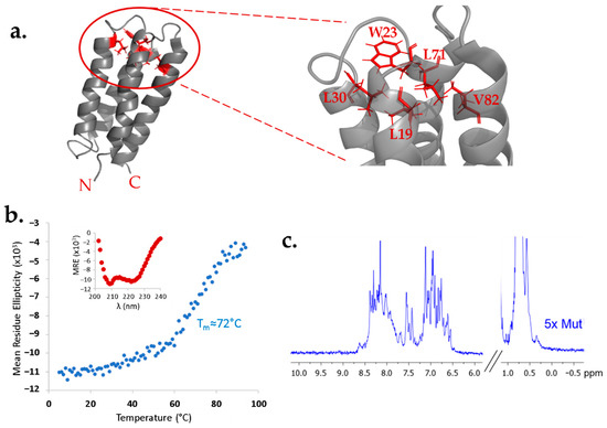 Life_MDPI's tweet photo. 🥰#mdpilife Highly cited article
A Strategy for Combinatorial Cavity Design in De Novo Proteins
by Christina Karas & Michael Hecht
@PrincetonMolBio @PrincetonChem
https://t.co/yrPJqB1zz5
From Special Issue: https://t.co/eyT5VNBckl
#protein_design
#synthetic_biology https://t.co/K1hYDmXfQO