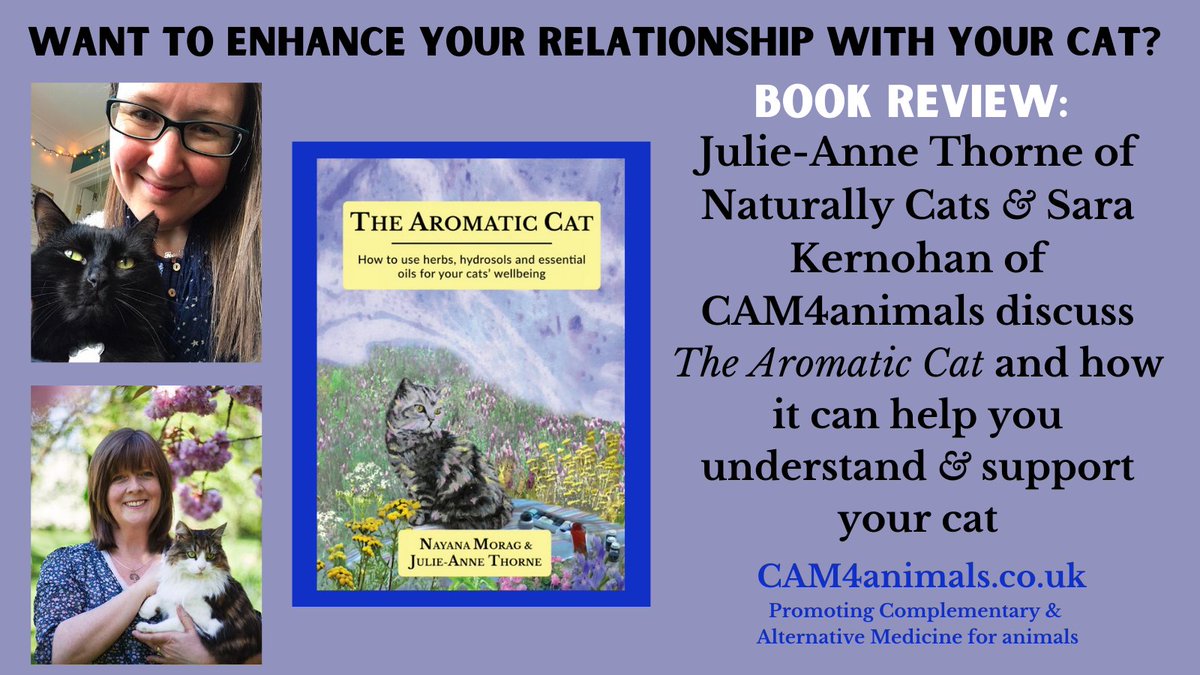 Want to learn more about your #cat &amp; the role that #herbs &amp; #essentialoils can do to support them? Watch this chat with <a href="/naturallycats1/">Naturally Cats</a> coauthor Julie-Anne Thorne to discover more about this down to earth guide
cam4animals.co.uk/the-aromatic-c…

#cats #CatsOfTwitter #kitty #catlovers #meow