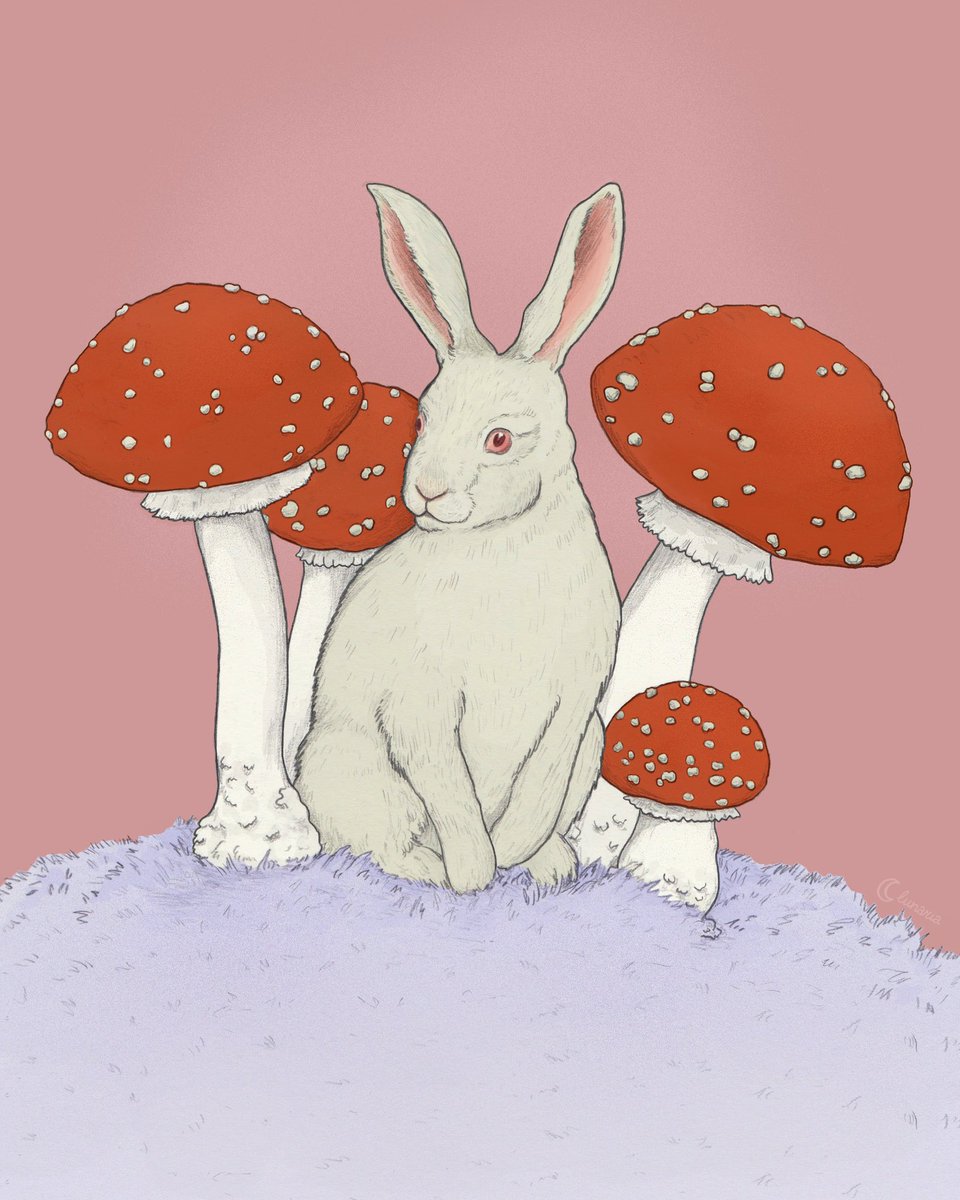 I'm sure that somewhere, under the pink sky and next to the tall fly agarics, there is an albino hare sitting on the lilac grass and thinking about the world condition 🐇
(and maybe about some silly things too) ✨
#illustrations #witchyart #forestmagic #shroomart