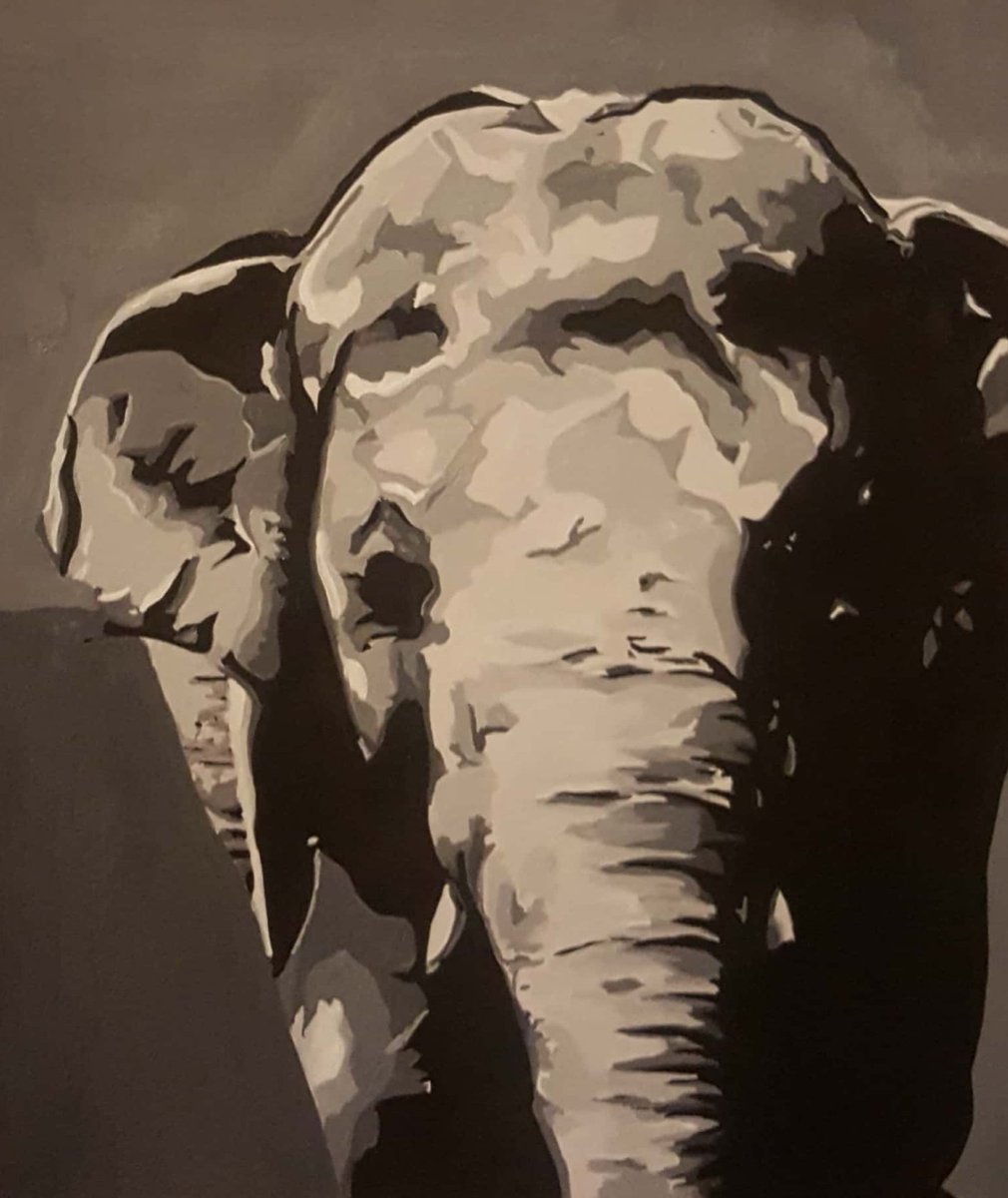 Davy_roder's tweet photo. @cher 👀?? Kaavan Sumayah Joel Sonny&amp;Cher ..🎨🎨🎨🎨💋 https://t.co/0T3F1VXV4t