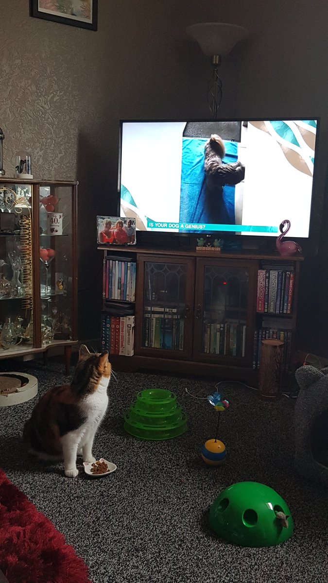 tracey hindson tweet media