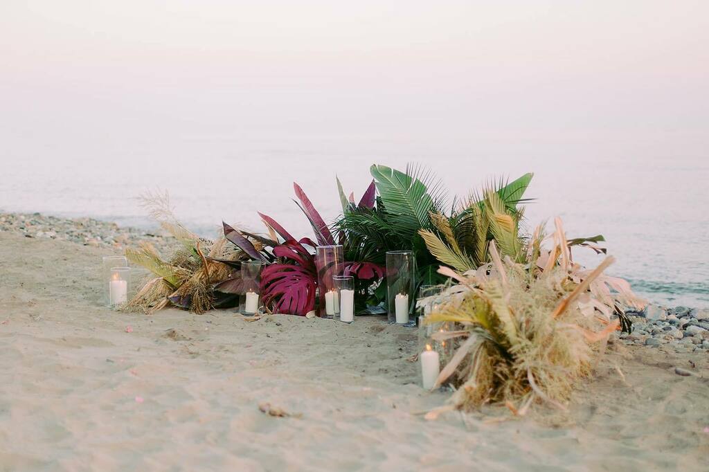 studiodefleurs1's tweet photo. Tropical vibes 🌴 we Love!! 

Venue  @trocadero_arena 
Planning &amp; styling @wedding_donna 
Florals &amp; decor @studiode_fleurs 
Groom suit @dolcegabbana 
Bridal headpieces @martina_dorta
MUAH @ana_reina_mua
Hairdressing @rafaelbuenopeluqueros 

Stationery @egusinlove 
.
.

#studi… https://t.co/sVyTX2uQnR