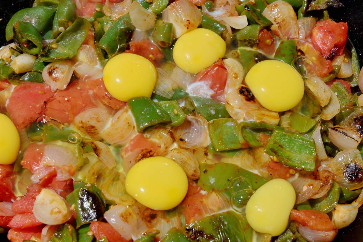 CycleMadagascar's tweet photo. Thanks to Ludovic, he gave us the famous #Shakshuka. #traiteur #catering #partyservice #hospitality #buffet #marriage #event #bisikileta #CycleMadagascar #Madagascar #culinaire #Traktament #MobileLunchBuffet #malagasy #légumes #sauerkraut #aliment #panoramique #hospitalité https://t.co/rYcPVbLa6M