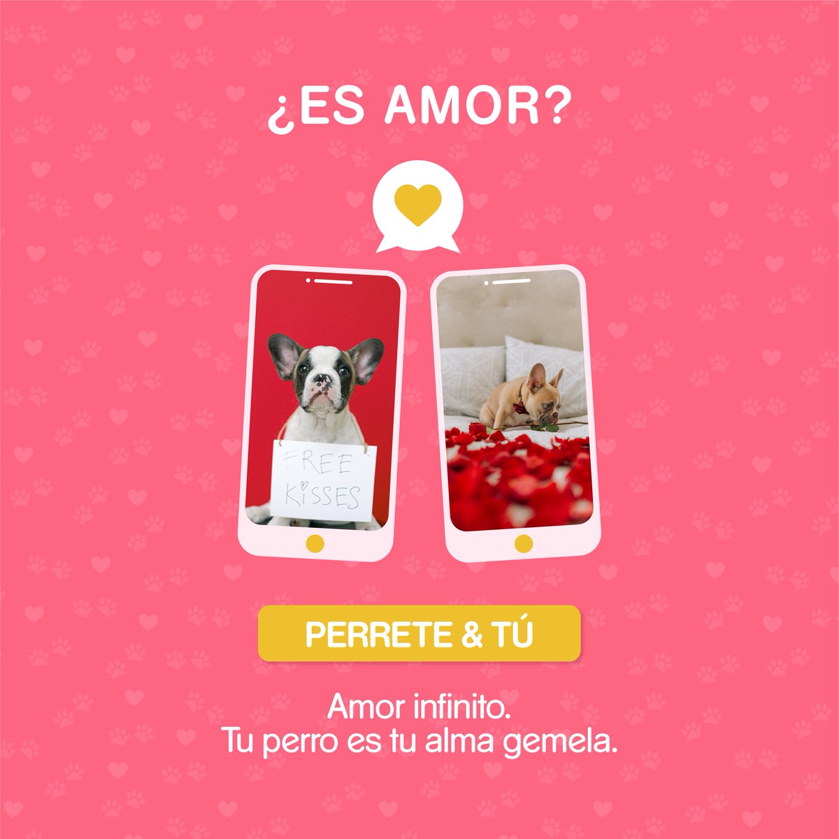 ¿Puede una flecha no doler? Sí, la de Cupido. Esa misma que atravesó tu corazón con el nombre de tu perrete escrito en ella. 💘 Feliz San Valentín.