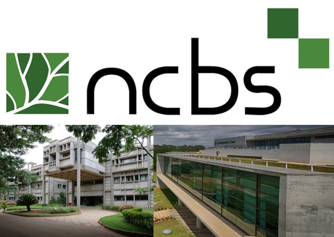 Post Doctoral Position in NCBS on Contract Basis, TIFR, Bangalore, India