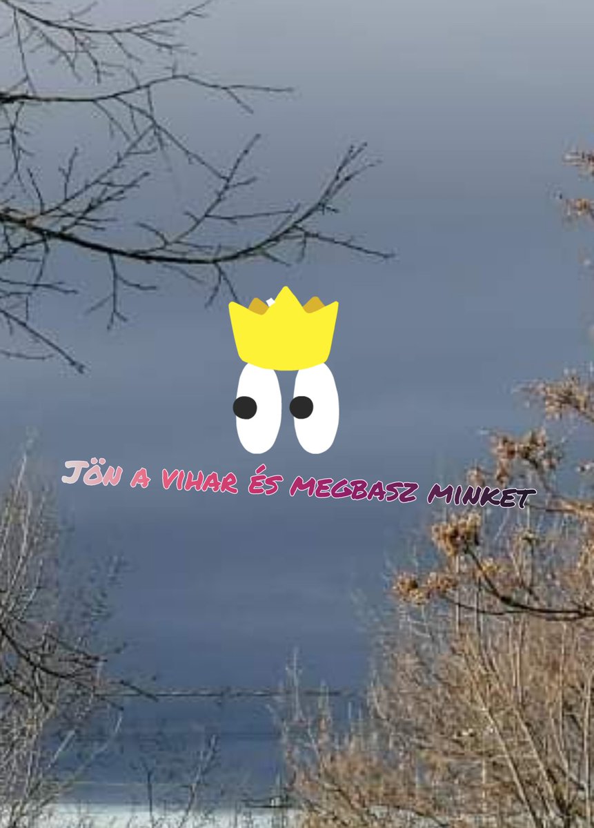 NonSebi's tweet image. 