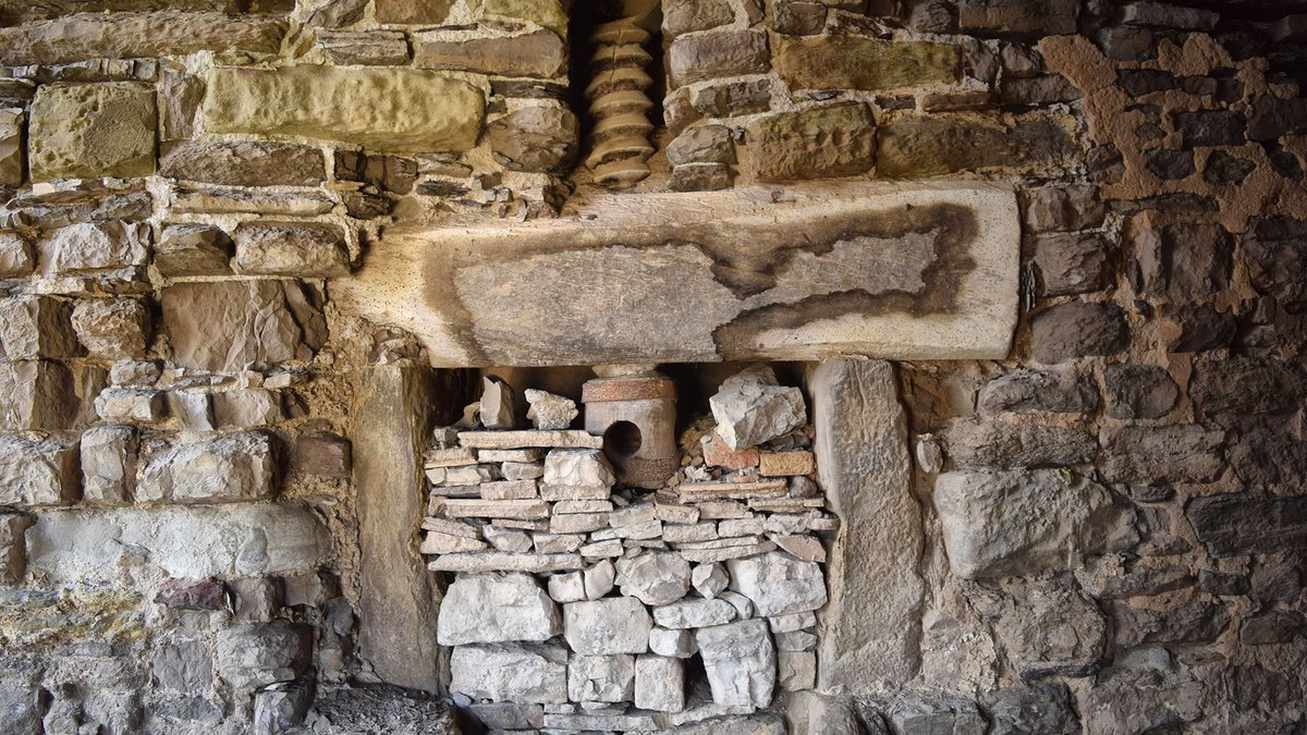 Som Segarra tweet media