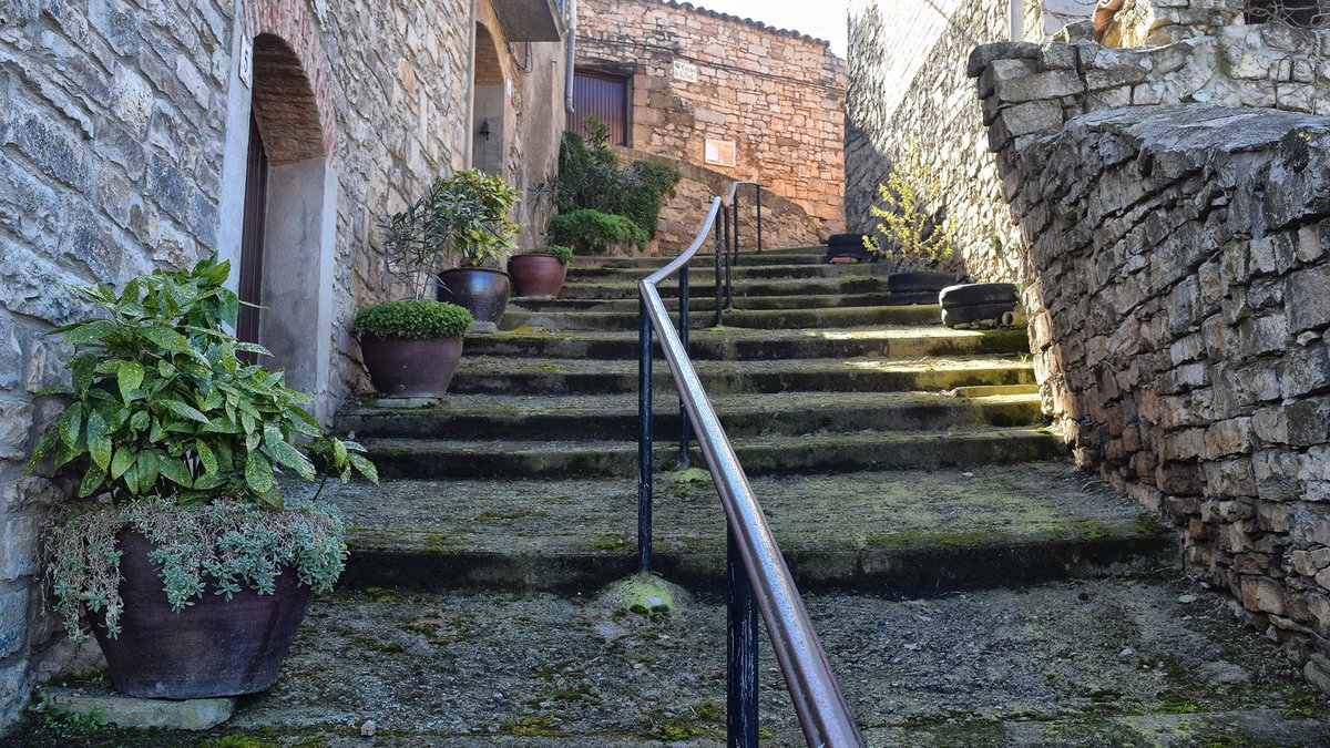 Som Segarra tweet media