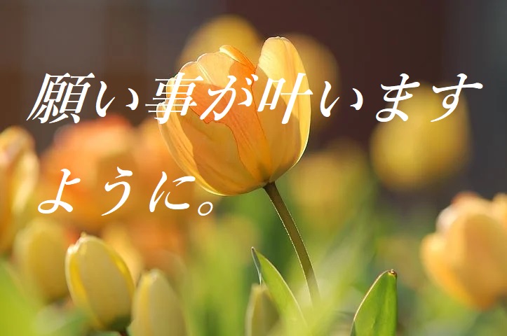カオ2800 いつもありがとうございます Oさんと会って 楽しくお話が出来ました Oさんとデートに行きました Oさんに素直な気持ちを伝えました Oさんと仲良くなり お付き合いが始まりました 毎日がラブラブな日々を過ごしています そして電撃結婚