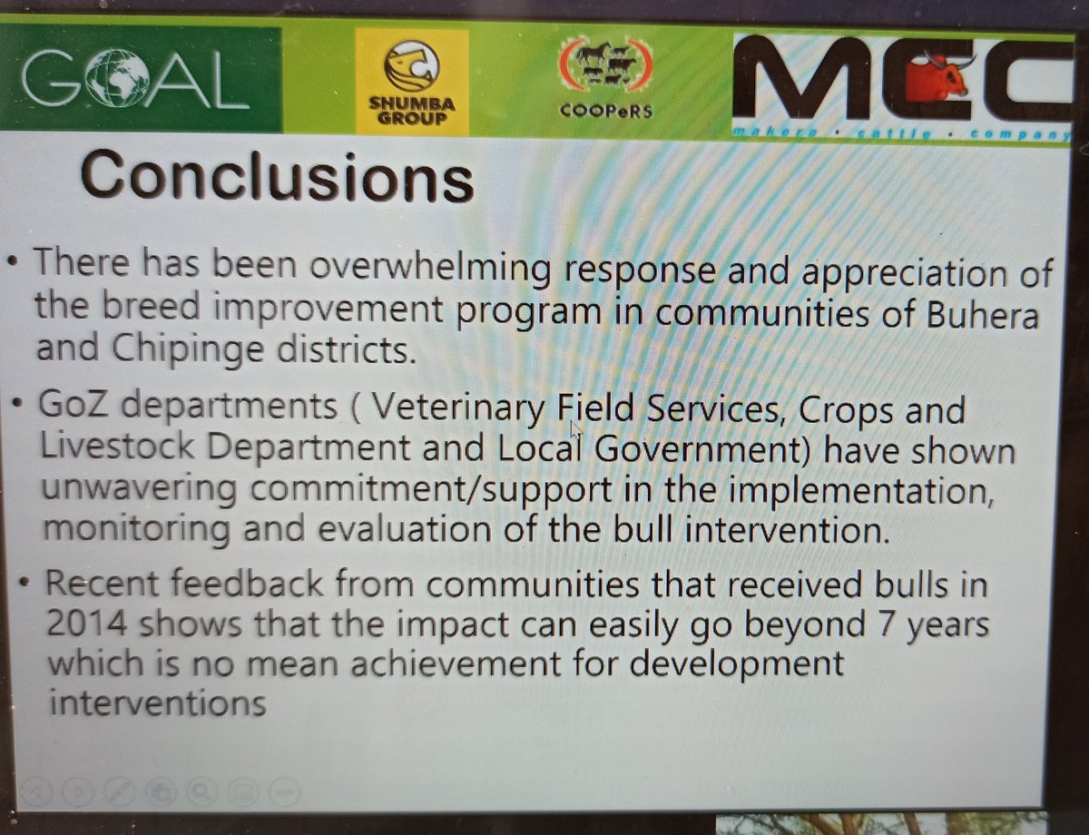 Happening now presenting at the @MLA_Zimbabwe Markets Linkages Association @Irish_Aid funded project on improvement of bull 🐂🐂 genetics #chipinge #buhera  districts in partnership with @Makera_Cattle @CooperZimbabwe @pro_feeds