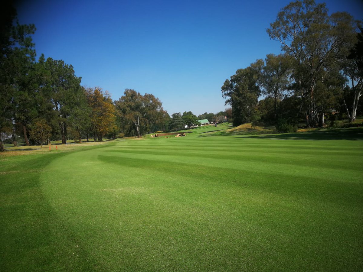 SyngentaTurfSA's tweet photo. This is the Wingate Park Golf Club.
Superintendent - Pieter Cooper.
Syngenta products used to produce this amazing playing surface - #Daconil #PrimoMaxx #BannerMaxx
Buy yours here > https://t.co/6IBekcO2JE https://t.co/uN3rLw9x16