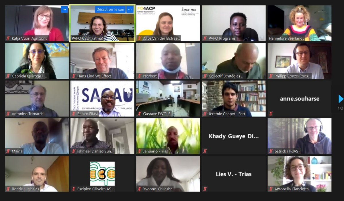 pafo_africa tweet picture