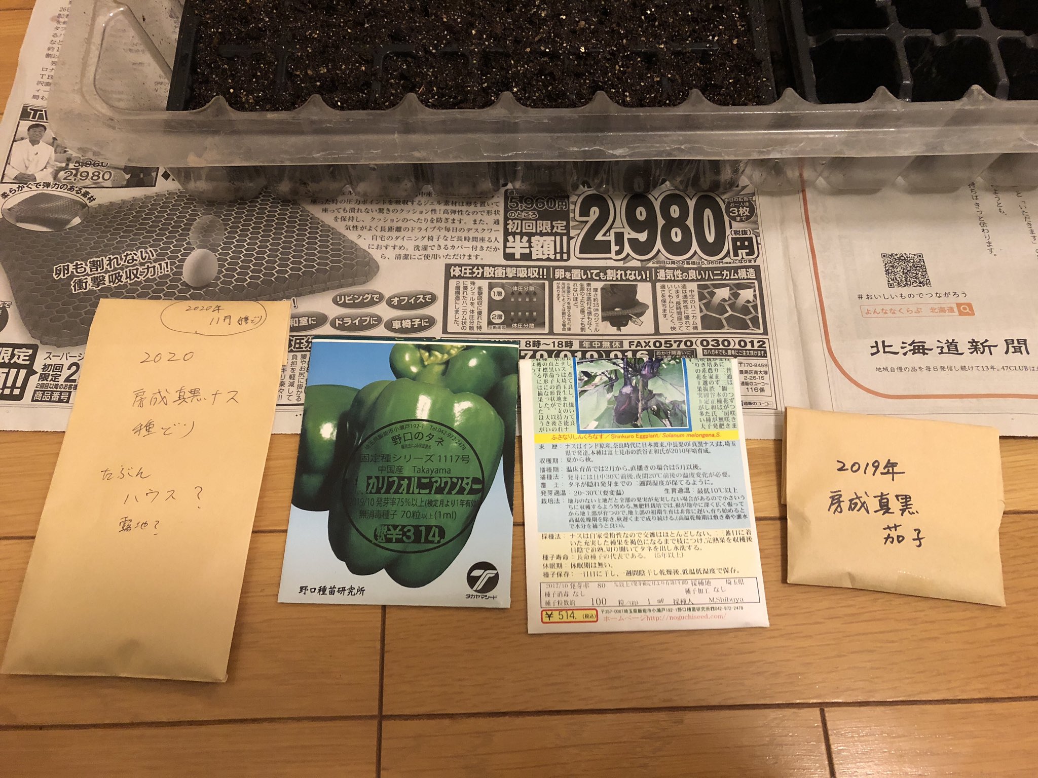 تويتر 畑のオヤジ على تويتر カリフォルニアワンダーピーマン 種どりした房成真黒茄子の種蒔きをしました 穴あけの割り箸が見当たらずスポイトで代用 霧吹きが見つからずカミさんに料理用のものを貸してもらいました 毎年何かしらのフライングをします 種蒔き