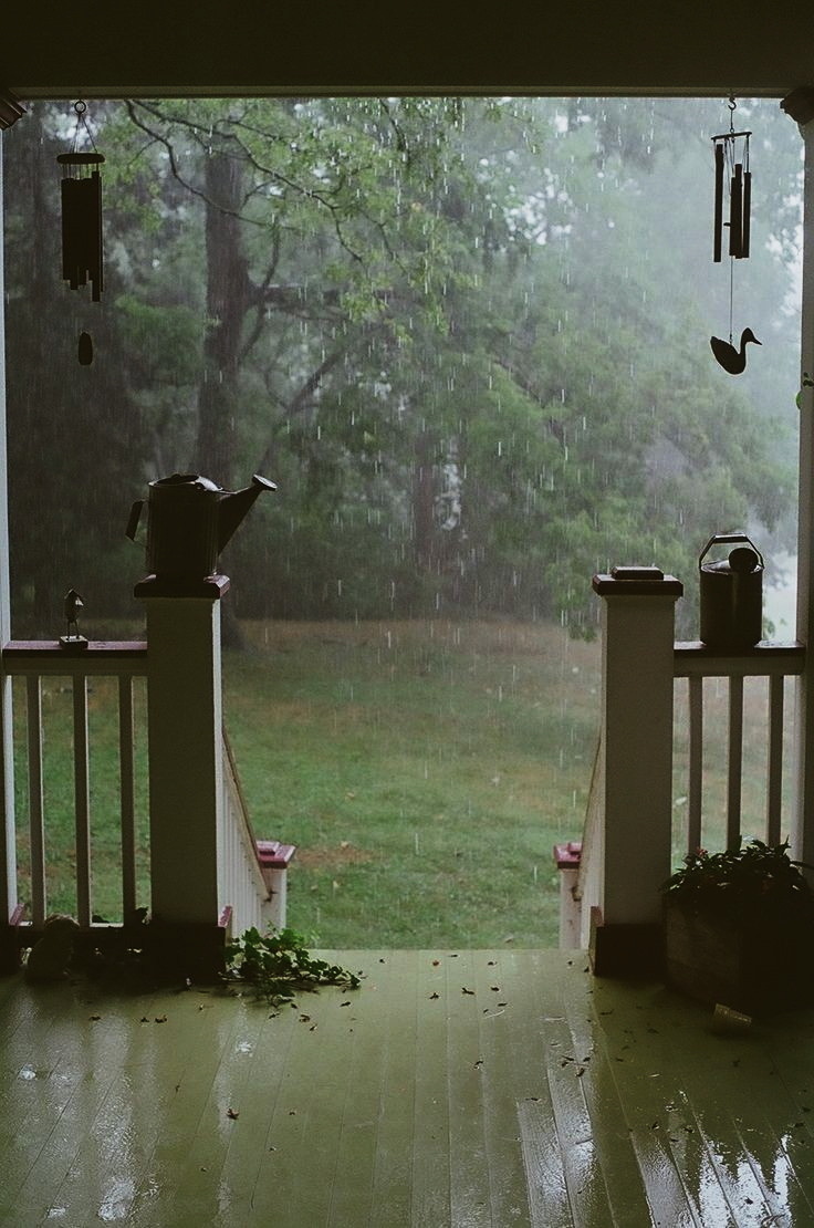 🌿🌼🧺 (@peacozy) on Twitter photo 